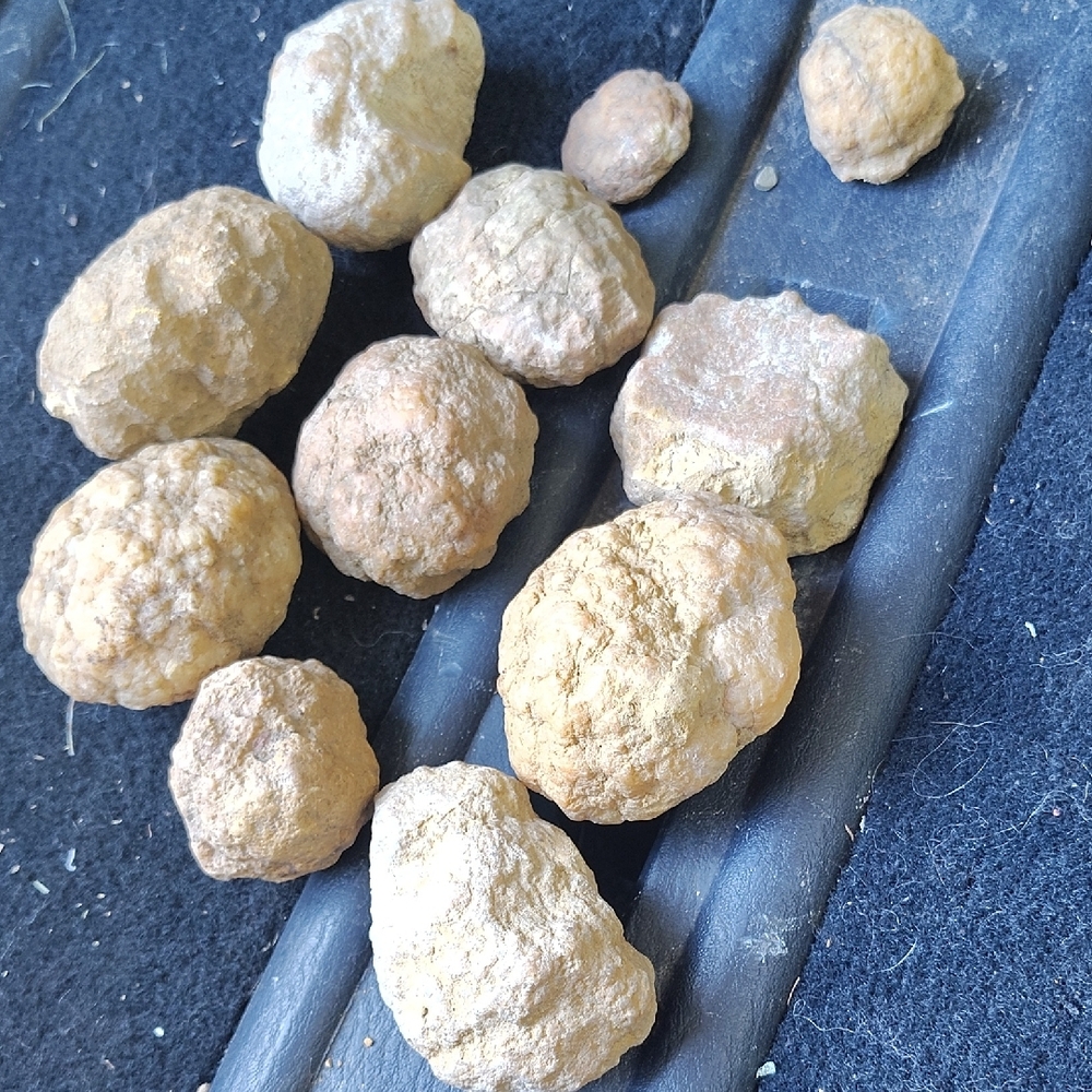Geodes - Picture 5 of 6